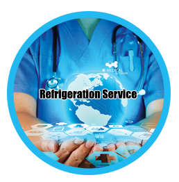 Refrigeration Ultra Low Freezer Laboratory Cold Storage